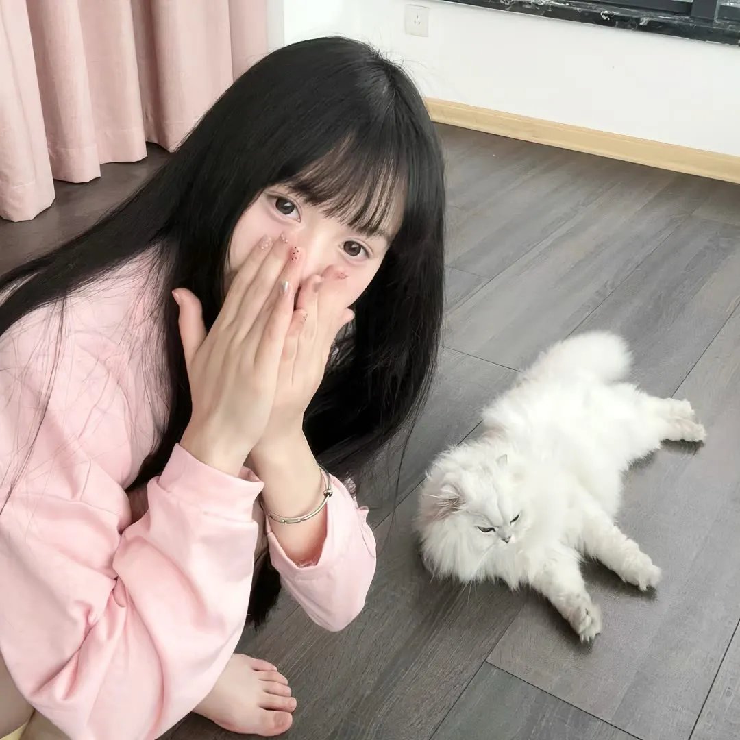 驯鹿游戏